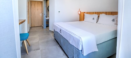 Double Room with Pool View