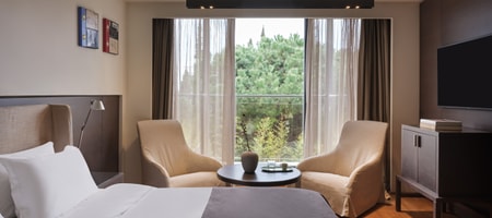 Junior Suite Garden View
