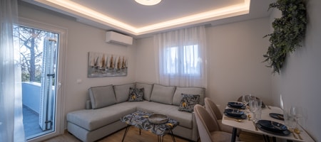 One-Bedroom Deluxe Apartment