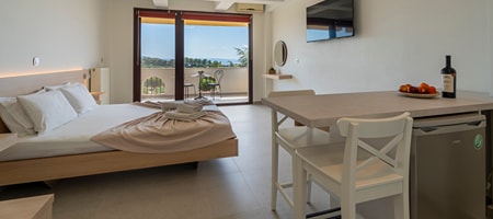 Double Studio with Sea View