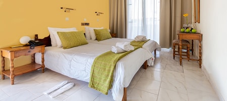 Standard Double or Twin Room