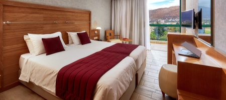 Twin Room Mountain View