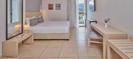 Double or Twin Room with Garden View