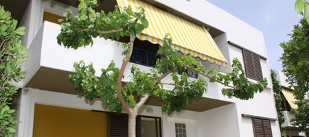 Three Rooms Family Apartment