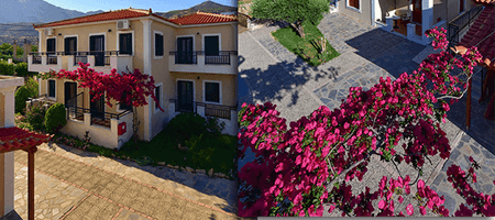 Special Offer Apartment