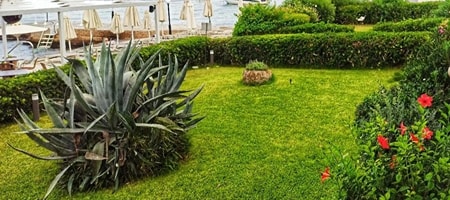 Spetses Beach Level
