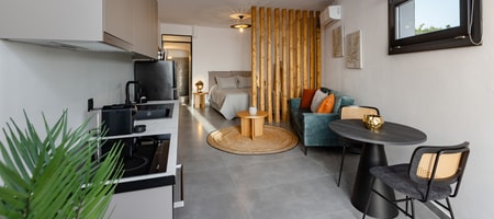Junior One-bedroom Apartment with Sea View
