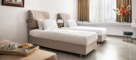 Deluxe Suite 101