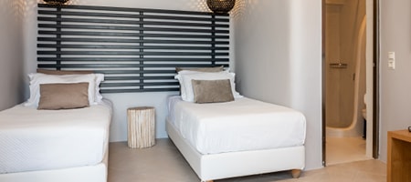 Standard Twin Suite