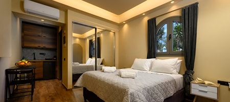 Studio with Terrace Ground Floor