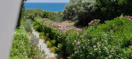 Beachfront Villa Socrates