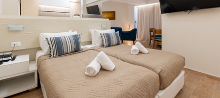 Deluxe Suite