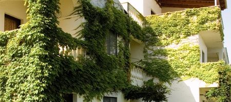 Double Bungalow Garden View