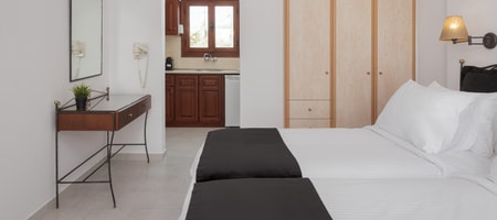 Standard Twin Room
