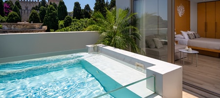 Suite Rooftop Room with Private mini pool in a shared terrace