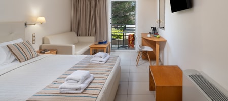 Double Room Garden View