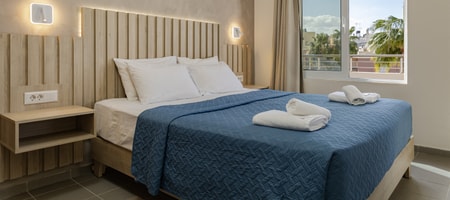One Bedroom Deluxe Apartment