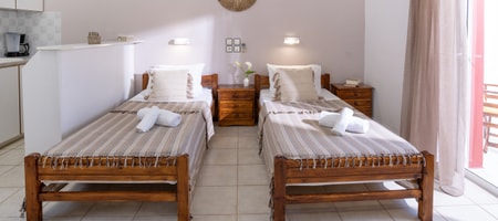 Twin Room with Garden View