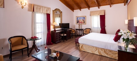 Junior Double Suite with Pool View