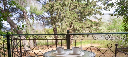 Superior Studio Garden View