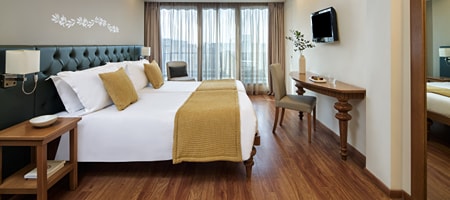 Executive Room Acropolis View