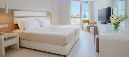 Deluxe Twin/Double Room with Sea View