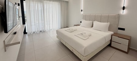 Executive Suite Duplex