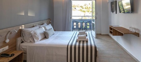 Deluxe Double or Twin Room with Garden View