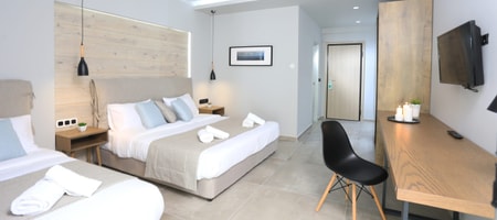 Executive Room with Garden View