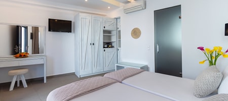 Double or Twin Room with Private Pool on the Side