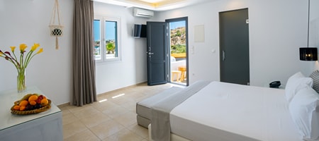 Standard Double or Twin Room