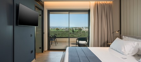 Standard Double - City View