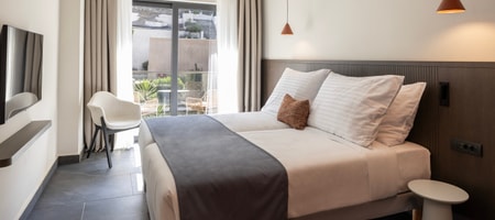 Double Room Mountain View