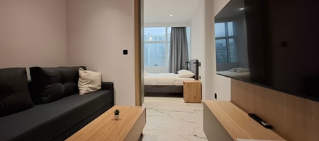 Deluxe Apartment