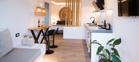Luxury Studio
