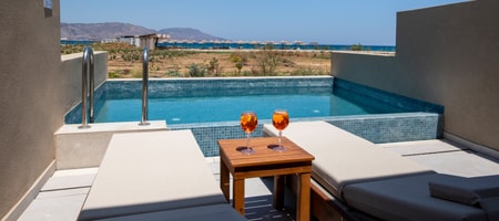 Premium Double Swim Up Sea View