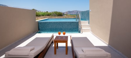Prestige Junior Suite Swim Up Land View