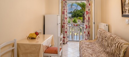 One Bedroom Apartment