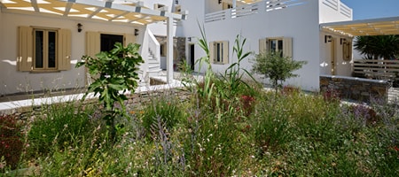 WHOLE VILLA