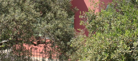 Villa Calliope