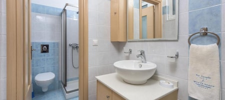 Superior Apartment 1