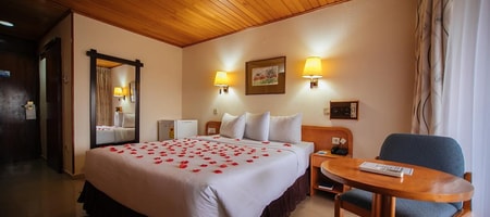 Standard Room with Dam View
