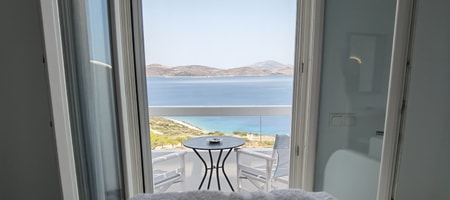 Double Room Theseus