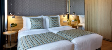 Accessible Standard Twin Guestroom