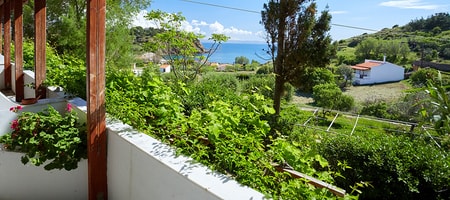 Zorbas Apartments Volissos