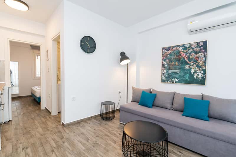 One - Bedroom Apartment