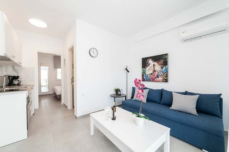One - Bedroom Apartment